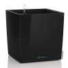 Lechuza Cube