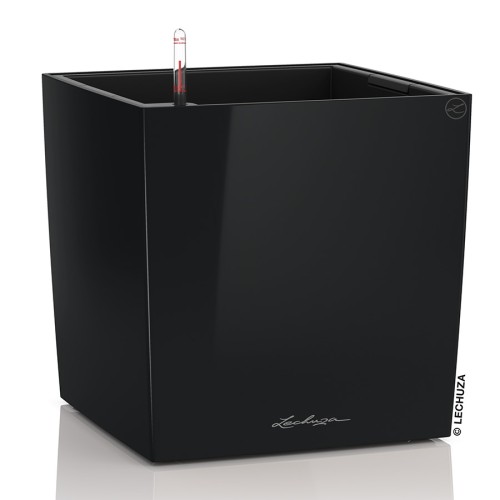 Lechuza Cube