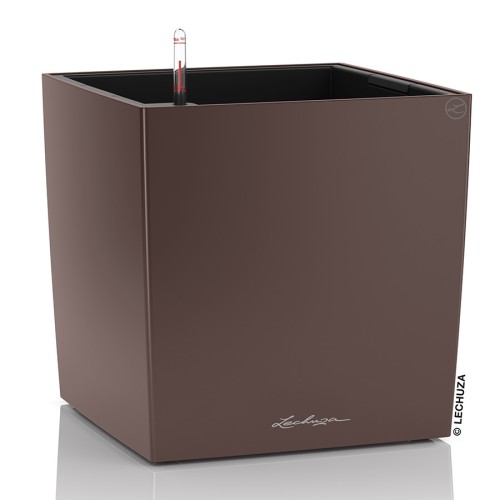Lechuza Cube