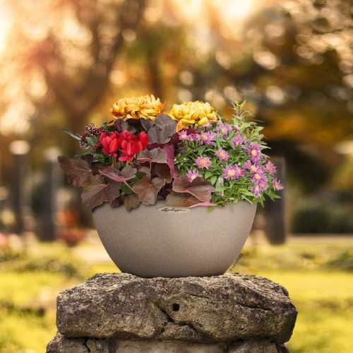 Lechuza Cubeto Stone