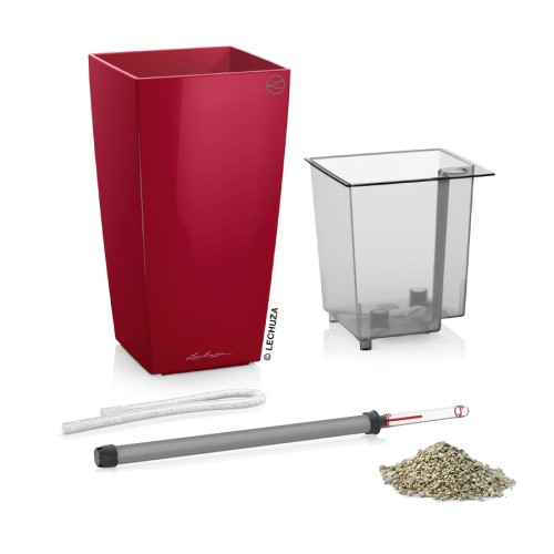 Lechuza Mini-Cubi & Maxi-Cubi