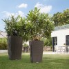 Lechuza Cubico Cottage