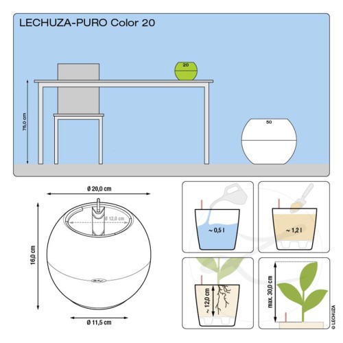 Lechuza Puro Color