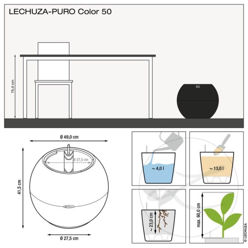 Lechuza Puro Color