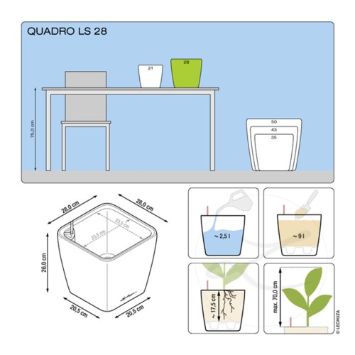 Lechuza Quadro LS