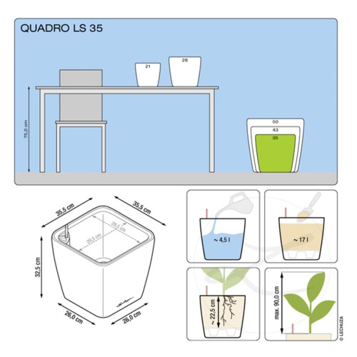 Lechuza Quadro LS