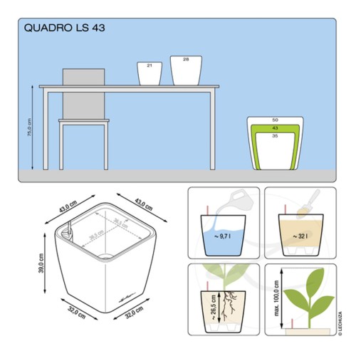 Lechuza Quadro LS