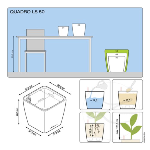 Lechuza Quadro LS
