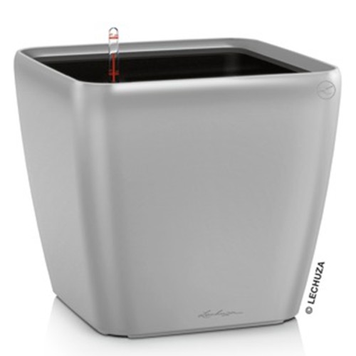 Lechuza Quadro LS