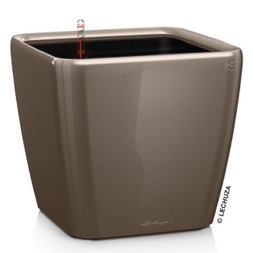 Lechuza Quadro LS