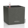 Lechuza Canto Stone 14