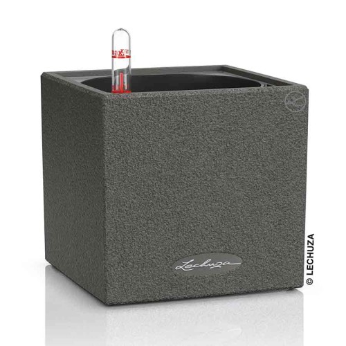 Lechuza Canto Stone 14
