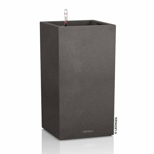 Lechuza Canto Stone high