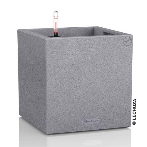 Lechuza Canto Stone low