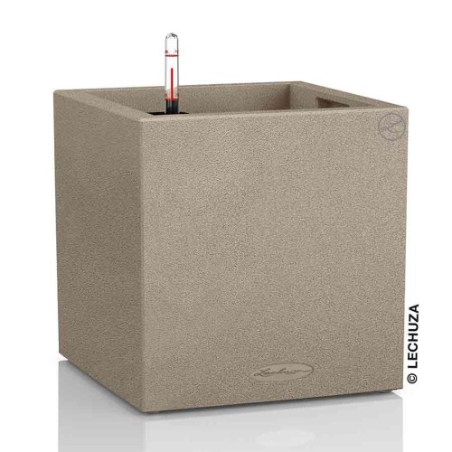 Lechuza Canto Stone low