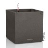 Lechuza Canto Stone low