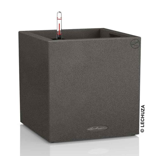 Lechuza Canto Stone low