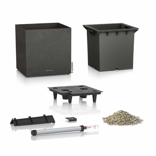 Lechuza Canto Stone low