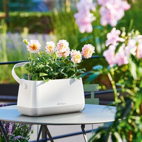 Lechuza Yula Bag