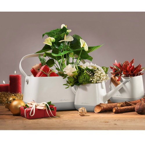Lechuza Yula Pot