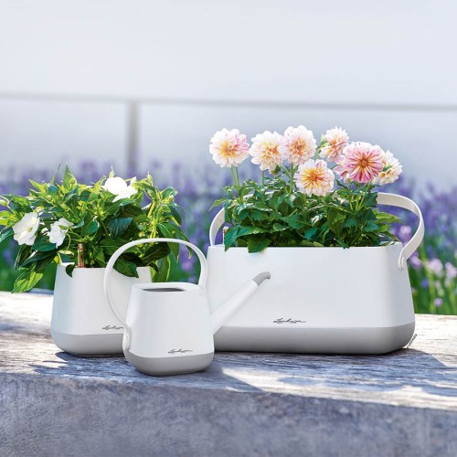 Lechuza Yula Pot