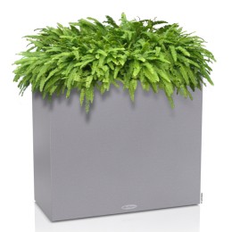Lechuza Canto Stone wide